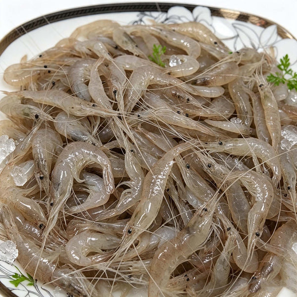 River Shrimp